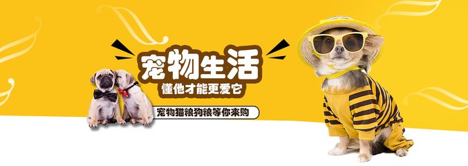 2025新澳门天天精准大全谜语
